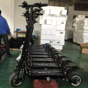 Electronic Scooter S13
